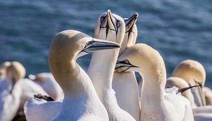 米乐m6yy易游：开启全新娱乐体验的智慧之选