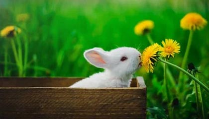 开云平台——开启企业数字化新纪元